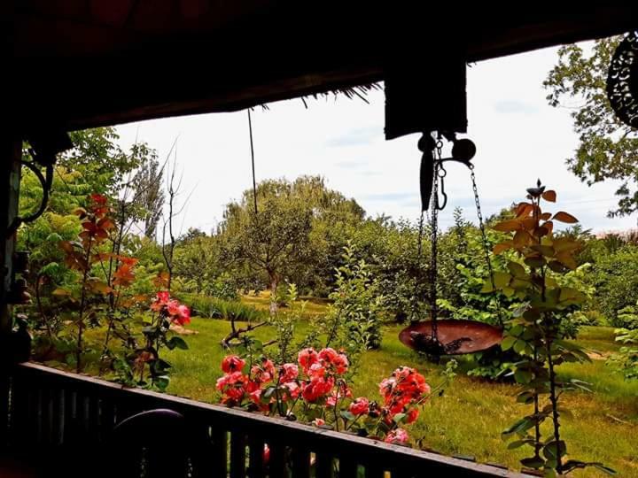 Perla Neagra Lotus Spa Caineni-Bai Zewnętrze zdjęcie